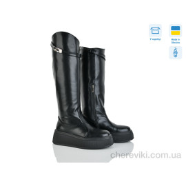 Сапоги Ailinda