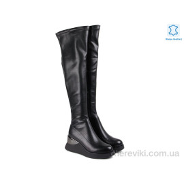 Ботфорты Allshoes