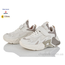 Кроссовки Clibee-Doremi