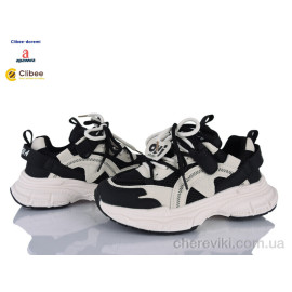 Кроссовки Clibee-Doremi