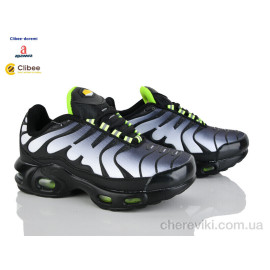 Кроссовки Clibee-Doremi