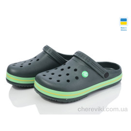 Кроксы Golden Lion