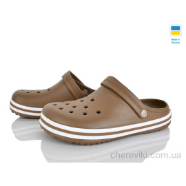 Кроксы Golden Lion