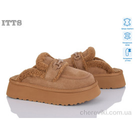 Тапки ITTS