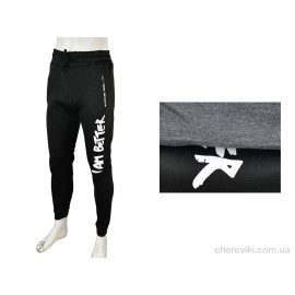 Спортивные брюки Мир