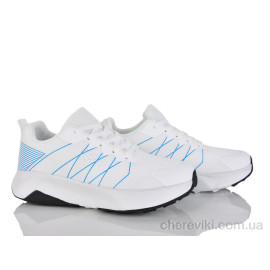 Кроссовки Moli