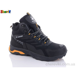 Ботинки Sharif