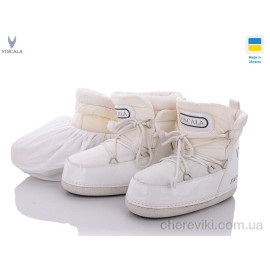 Луноходы Viscala