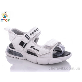 Сандалии Y.Top Сандалии Y.Top