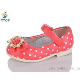 Туфли Y.Top Туфли Y.Top